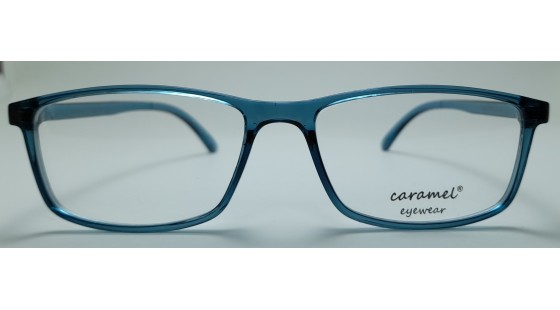 Optical Frame Model No.301