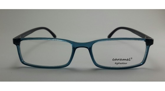 Optical Frame Model No.303