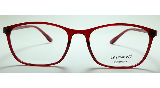 Optical Frame Model No.405